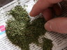 В Саяногорске задержали двух граждан с марихуаной
