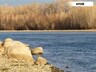 Саяногорские моржи вернулись с очередными медалями