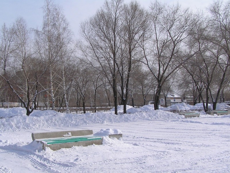 Зима -Зима 2006 года