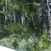 ВИДИМ