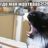 Пожрать_бы_чё