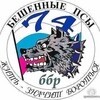 хохол-1980