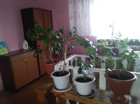 Саяногорск Инфо - Присоединённое изображение