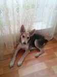 Саяногорск Инфо - Присоединённое изображение