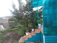 Саяногорск Инфо - Присоединённое изображение