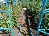 Саяногорск Инфо - Присоединённое изображение