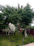 Саяногорск Инфо - Присоединённое изображение