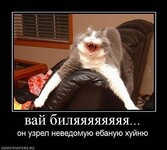 Саяногорск Инфо - Присоединённое изображение