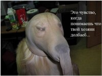 Саяногорск Инфо - Присоединённое изображение