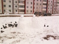 Саяногорск Инфо - Присоединённое изображение