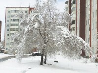 Саяногорск Инфо - Присоединённое изображение