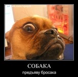 Саяногорск Инфо - Присоединённое изображение