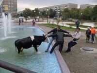 Саяногорск Инфо - Присоединённое изображение