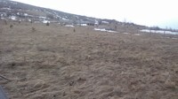Саяногорск Инфо - Присоединённое изображение