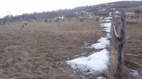 Саяногорск Инфо - Присоединённое изображение