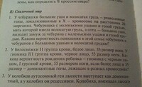 Саяногорск Инфо - Присоединённое изображение