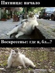 Саяногорск Инфо - Присоединённое изображение