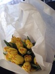 Саяногорск Инфо - Присоединённое изображение