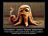 Саяногорск Инфо - Присоединённое изображение