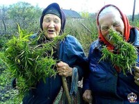 Саяногорск Инфо - Присоединённое изображение
