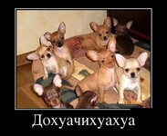 Саяногорск Инфо - Присоединённое изображение