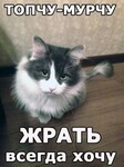 Саяногорск Инфо - Присоединённое изображение