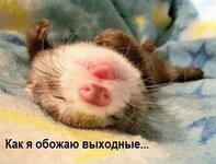 Саяногорск Инфо - Присоединённое изображение