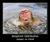 Саяногорск Инфо - Присоединённое изображение