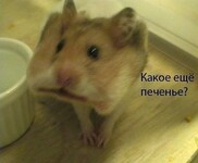 Саяногорск Инфо - Присоединённое изображение
