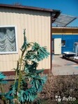 Саяногорск Инфо - Присоединённое изображение