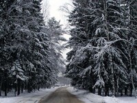 Саяногорск Инфо - Присоединённое изображение