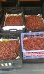 Саяногорск Инфо - Присоединённое изображение