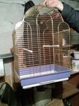 Саяногорск Инфо - Присоединённое изображение