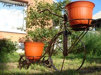 Саяногорск Инфо - Присоединённое изображение