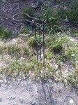 Саяногорск Инфо - Присоединённое изображение
