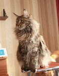 Саяногорск Инфо - Присоединённое изображение