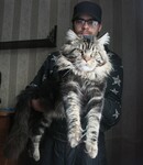 Саяногорск Инфо - Присоединённое изображение