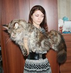 Саяногорск Инфо - Присоединённое изображение