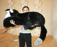 Саяногорск Инфо - Присоединённое изображение