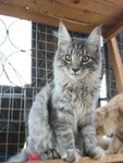 Саяногорск Инфо - Присоединённое изображение