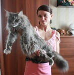 Саяногорск Инфо - Присоединённое изображение