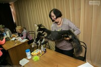 Саяногорск Инфо - Присоединённое изображение