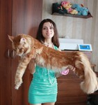 Саяногорск Инфо - Присоединённое изображение