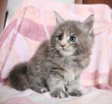 Саяногорск Инфо - Присоединённое изображение