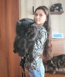 Саяногорск Инфо - Присоединённое изображение