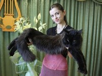 Саяногорск Инфо - Присоединённое изображение