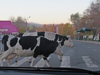 Саяногорск Инфо - Присоединённое изображение