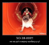 Саяногорск Инфо - Присоединённое изображение