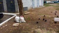 Саяногорск Инфо - Присоединённое изображение