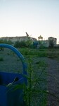 Саяногорск Инфо - Присоединённое изображение